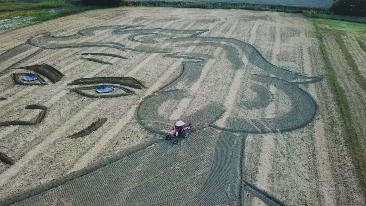 Artist carves face of Beethoven into Italy field