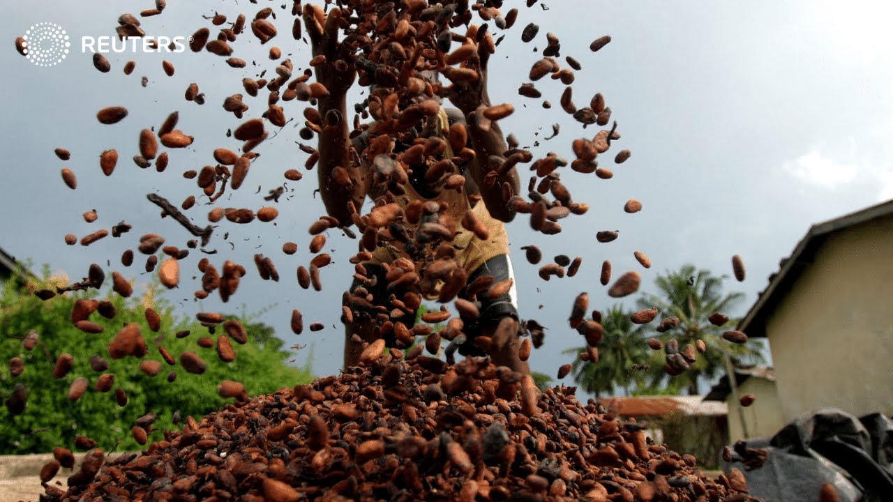 From cocoa to climate change, Africa's top business news
