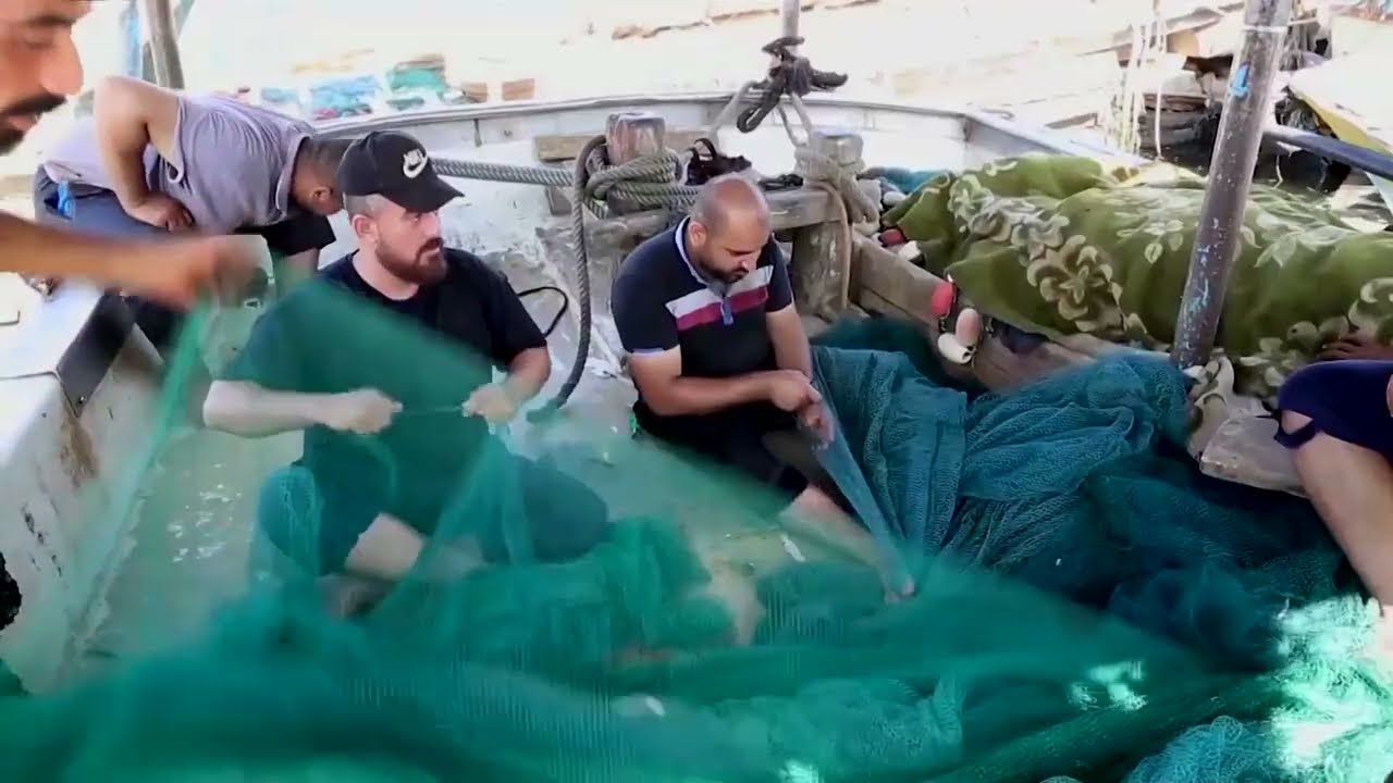 Gaza's first marine fish farm helps local industry