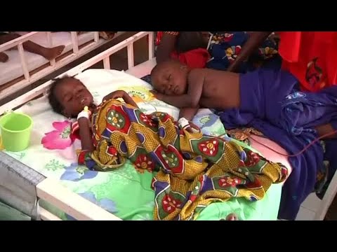 Ghana first to approve Oxford's malaria vaccine