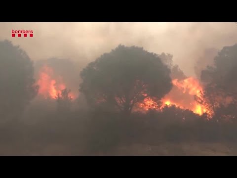 Wildfires rage along France-Spain border